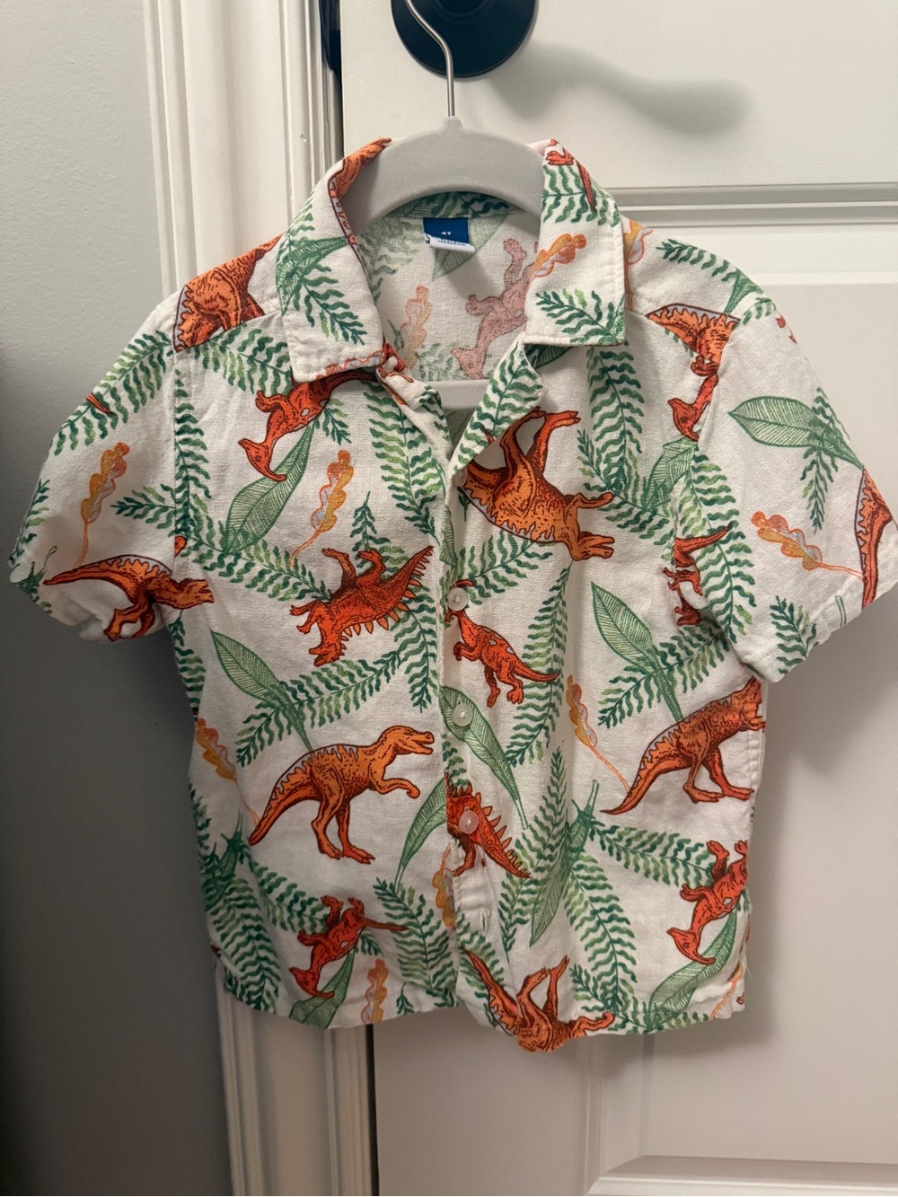 Boys Dinosaur Hawaiian Shirt